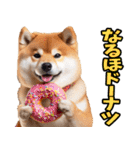 山形弁☆柴犬（個別スタンプ：19）