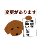 PTA、委員会、打合せの連絡トイプードル版（個別スタンプ：8）