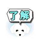 PTA、委員会、打合せの連絡トイプードル版（個別スタンプ：14）