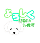 PTA、委員会、打合せの連絡トイプードル版（個別スタンプ：20）