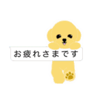PTA、委員会、打合せの連絡トイプードル版（個別スタンプ：21）