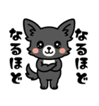 黒チワのきもち（個別スタンプ：1）