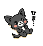 黒チワのきもち（個別スタンプ：19）