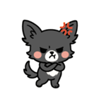 黒チワのきもち（個別スタンプ：24）