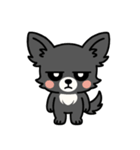黒チワのきもち（個別スタンプ：26）