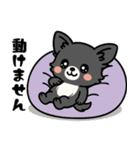 黒チワのきもち（個別スタンプ：27）
