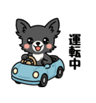 黒チワのきもち（個別スタンプ：36）