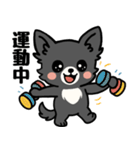 黒チワのきもち（個別スタンプ：37）
