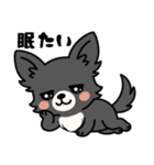 黒チワのきもち（個別スタンプ：38）