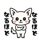 白チワのきもち（個別スタンプ：1）