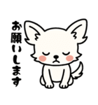 白チワのきもち（個別スタンプ：6）