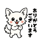 白チワのきもち（個別スタンプ：12）