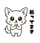 白チワのきもち（個別スタンプ：17）
