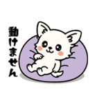 白チワのきもち（個別スタンプ：27）