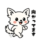 白チワのきもち（個別スタンプ：34）