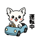 白チワのきもち（個別スタンプ：36）