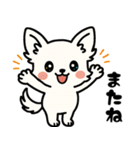 白チワのきもち（個別スタンプ：39）