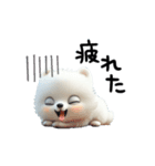 もふもふキュートな白わんこ（個別スタンプ：8）