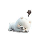 もふもふキュートな白わんこ（個別スタンプ：13）