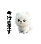 もふもふキュートな白わんこ（個別スタンプ：21）