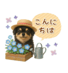 癒しチワワの「夏」の毎日（個別スタンプ：3）