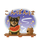 癒しチワワの「夏」の毎日（個別スタンプ：4）
