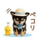 癒しチワワの「夏」の毎日（個別スタンプ：8）