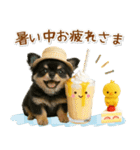 癒しチワワの「夏」の毎日（個別スタンプ：12）