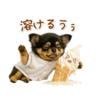 癒しチワワの「夏」の毎日（個別スタンプ：18）
