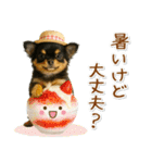 癒しチワワの「夏」の毎日（個別スタンプ：19）