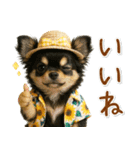 癒しチワワの「夏」の毎日（個別スタンプ：21）