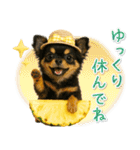 癒しチワワの「夏」の毎日（個別スタンプ：23）