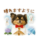 癒しチワワの「夏」の毎日（個別スタンプ：29）