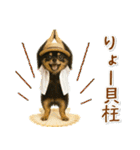 癒しチワワの「夏」の毎日（個別スタンプ：31）