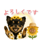 癒しチワワの「夏」の毎日（個別スタンプ：35）