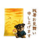 癒しチワワの「夏」の毎日（個別スタンプ：40）