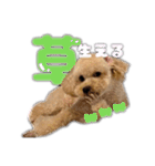 Mimi.Mignon（個別スタンプ：4）