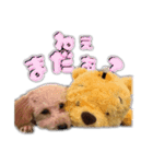 Mimi.Mignon（個別スタンプ：7）