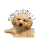 Mimi.Mignon（個別スタンプ：11）