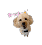 Mimi.Mignon（個別スタンプ：15）