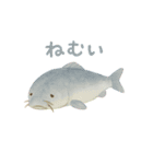 やさしい海の仲間たち（個別スタンプ：12）