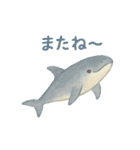 やさしい海の仲間たち（個別スタンプ：16）