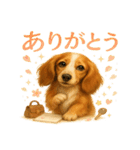 ふわもこダックスの気づかい便（個別スタンプ：5）