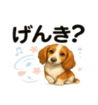 ふわもこダックスの気づかい便（個別スタンプ：10）