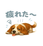 ふわもこダックスの気づかい便（個別スタンプ：31）