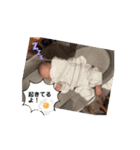 1番動くイトです！（個別スタンプ：2）