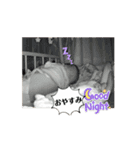1番動くイトです！（個別スタンプ：3）