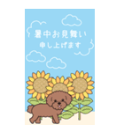 『トイプードル』夏のごあいさつ（個別スタンプ：1）