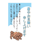 『トイプードル』夏のごあいさつ（個別スタンプ：3）