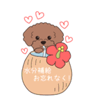 『トイプードル』夏のごあいさつ（個別スタンプ：11）